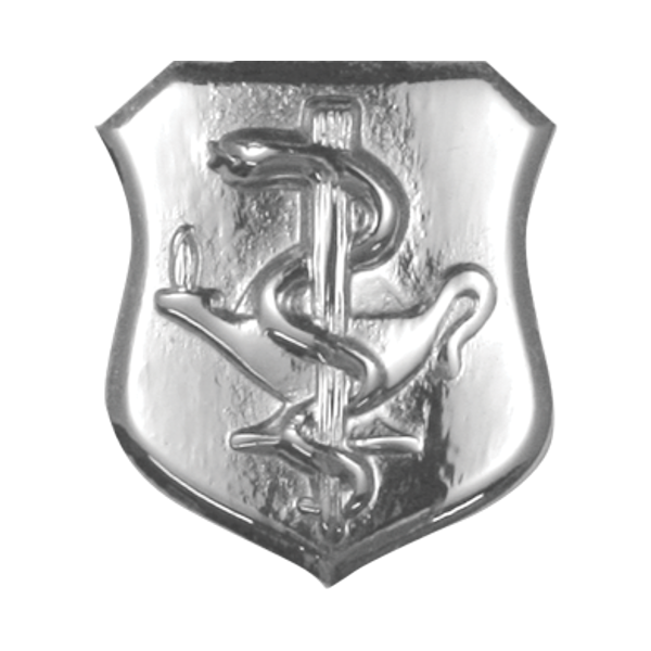 Air Force Badge - Nurse Basic