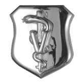 Air Force Badge - Veterinarian
