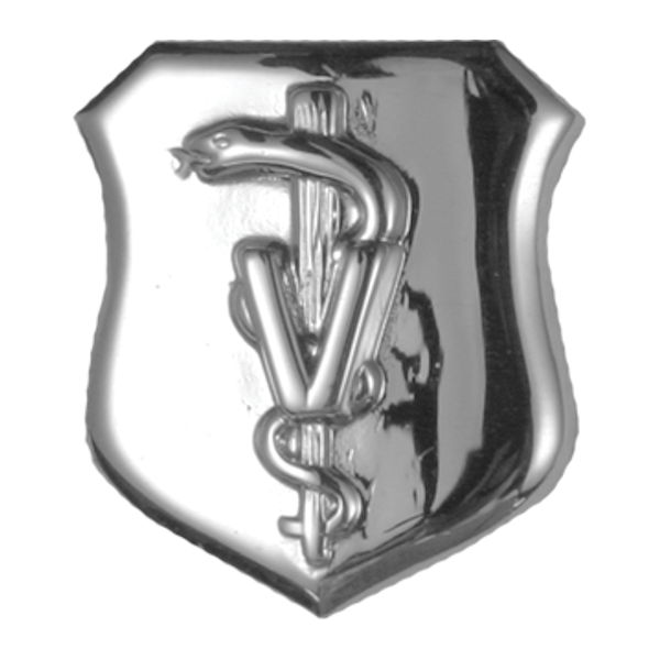 Air Force Badge - Veterinarian