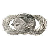 Air Force Badge - Logistics Basic
