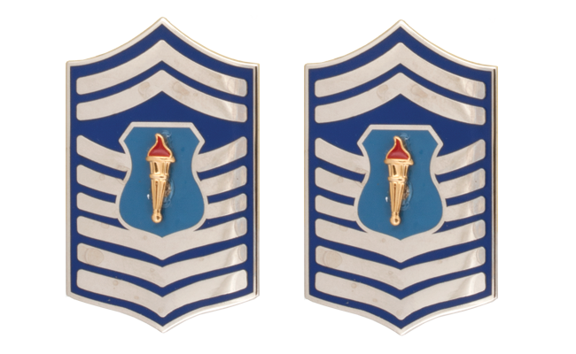 Air Force JROTC Enlisted Rank - Metal Insignia - 1 Pair