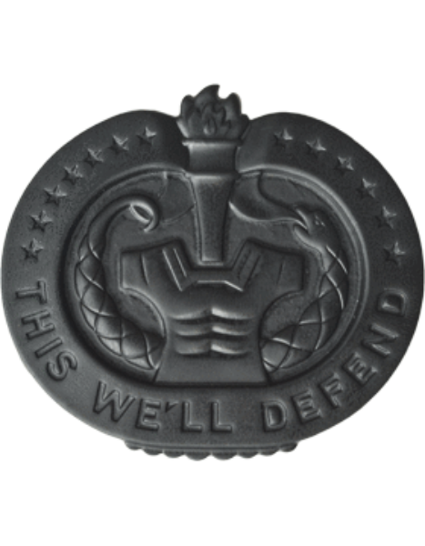 Drill Instructor Badge - Black Metal Insignia