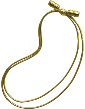 Campaign Cap Cords