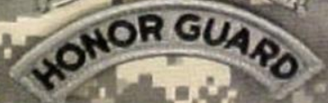 HONOR GUARD ACU Tab - Foliage Green - Closeout Great for Shadow Box