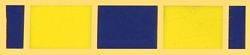 Navy Expeditionary Medal Lapel Pin