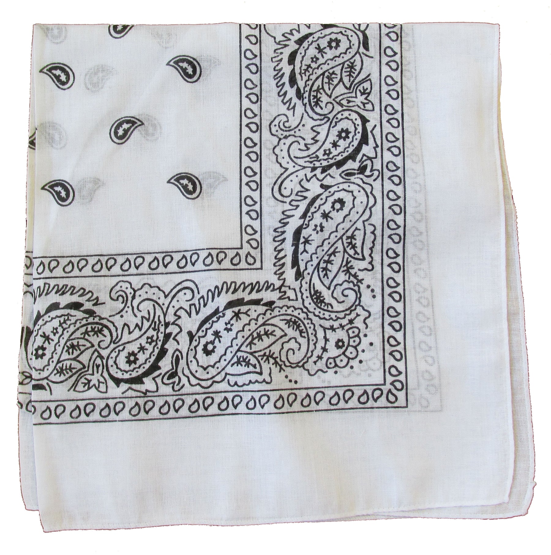 Pack of 5 - Lightweight Trainman Paisley Bandana