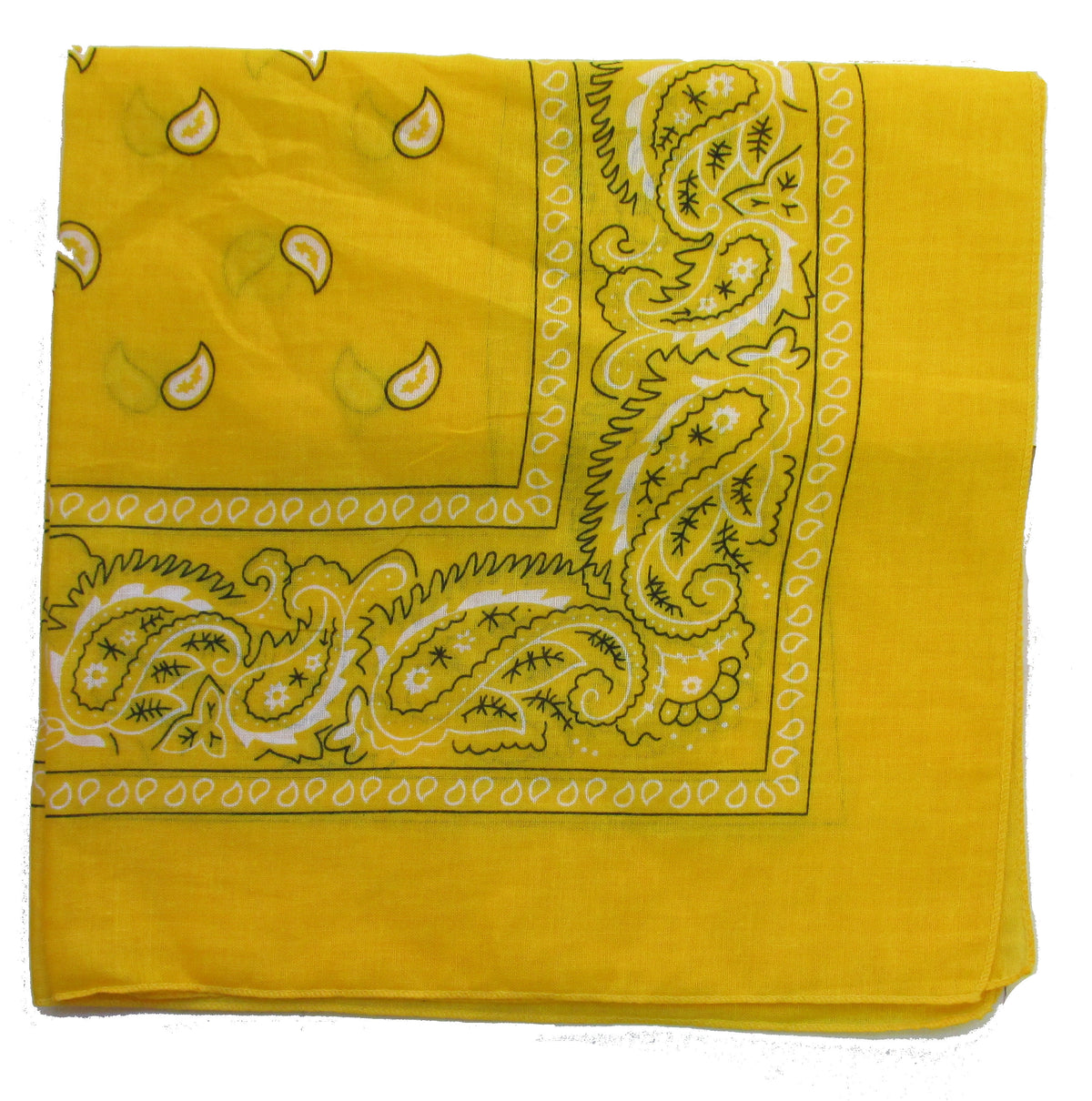 Pack of 5 - Lightweight Trainman Paisley Bandana