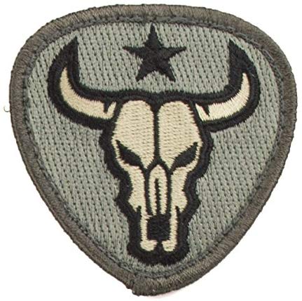 Bull Skull Morale Patch - Mil-Spec Monkey