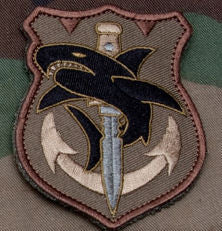 Tac Shark Morale Patch - Hook Fastener