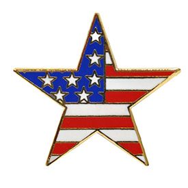 U.s. Flag Star Pin