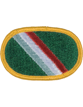 11th Special Forces Group Oval