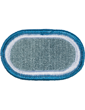 110th Military Intelligence Battalion Oval