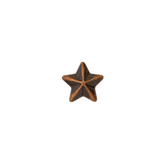 1 Bronze Star Ribbon Device