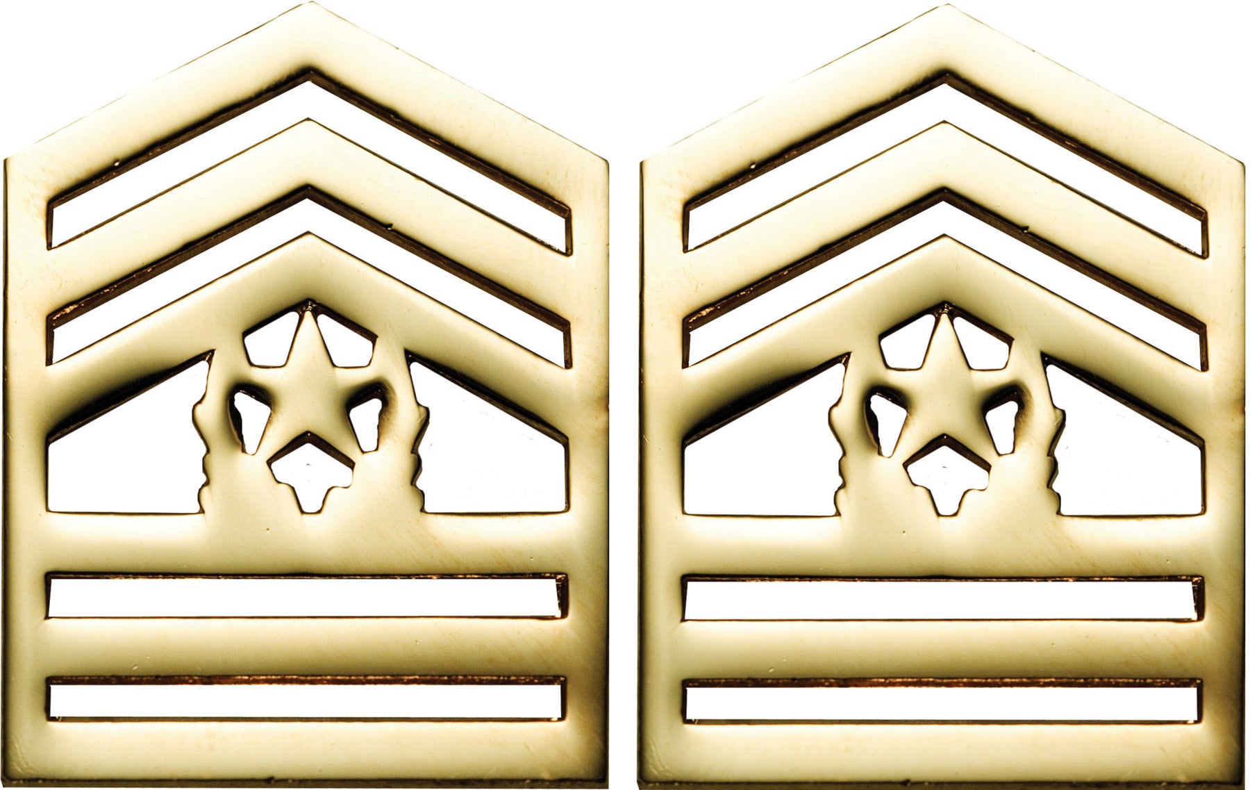 U.S. Army ROTC Rank - No Shine Pin-on Metal Rank Insignia