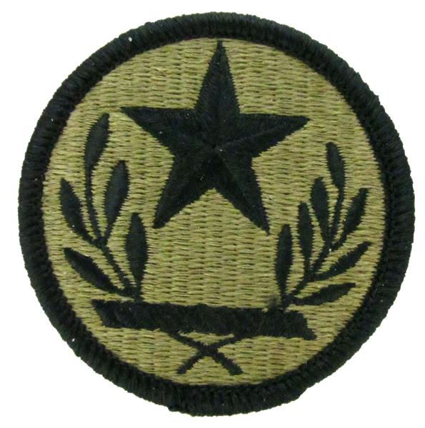 Texas Army National Guard OCP Patch - U.S. Army Patch