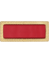 Army Meritorious Unit Citation Ribbon