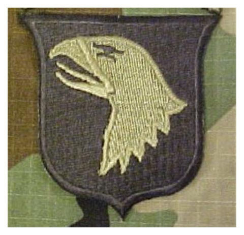 101st Airborne Division Patch - Subdued O.D. Green