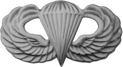 Paratrooper Wings Pin - Airborne Hat Pin