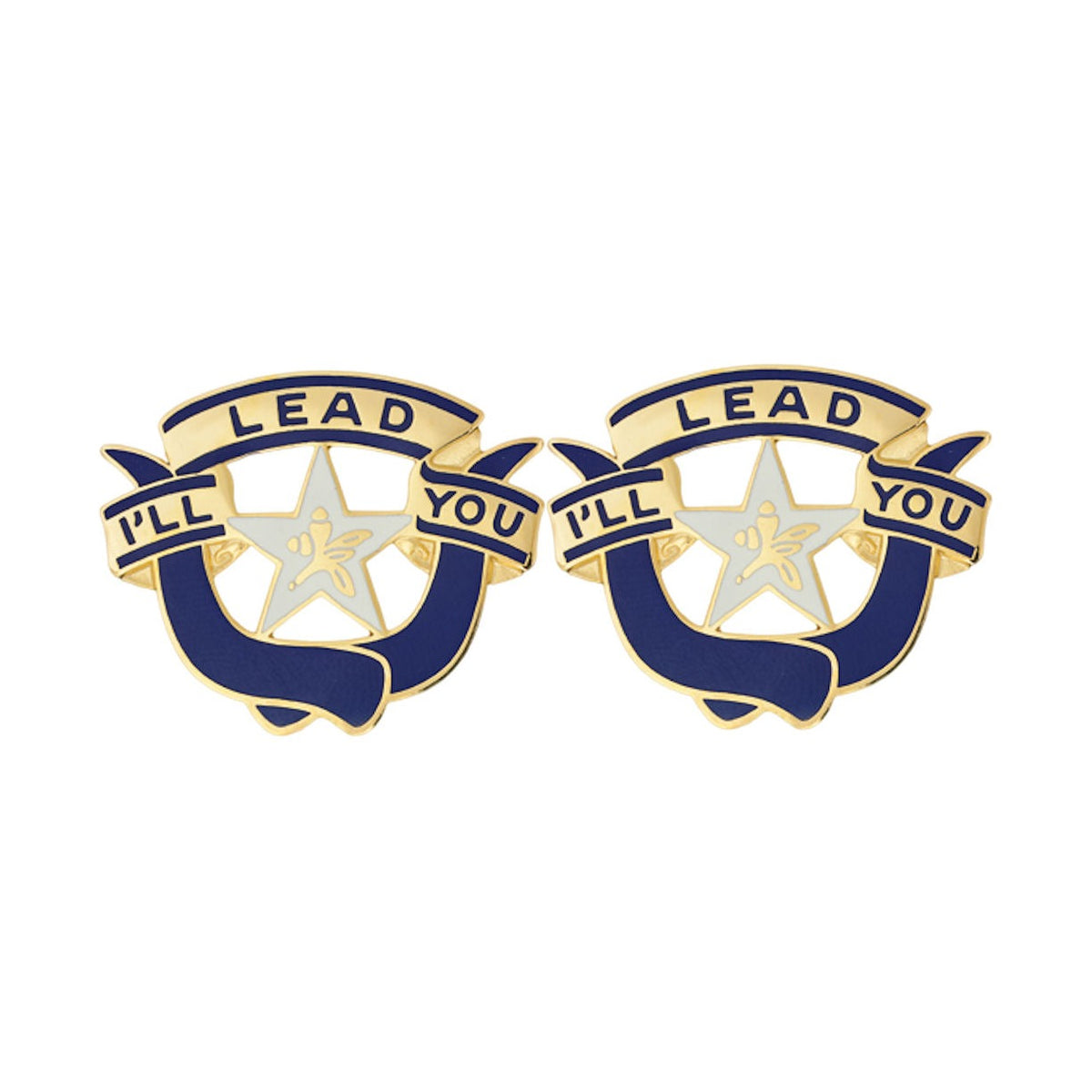 36th Brigade Distinctive Unit Insignia - Pair - I'll Lead You