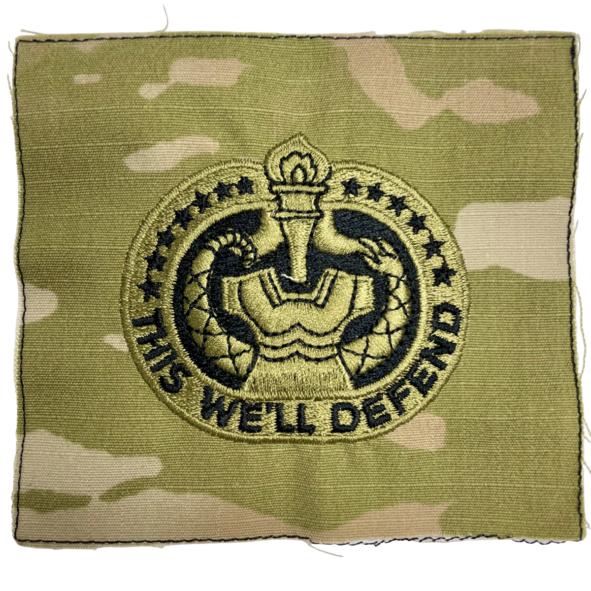 Drill Sergeant Instructor OCP Qualification Badge