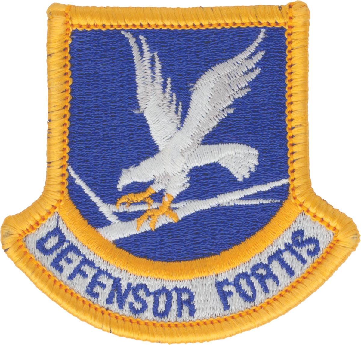 Air Force Enlisted Security Forces Beret Flash - DEFENSOR FORTIS