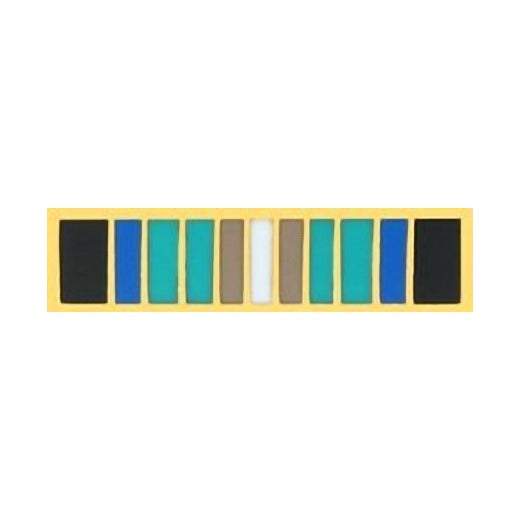 Antarctica Service Medal Lapel Pin