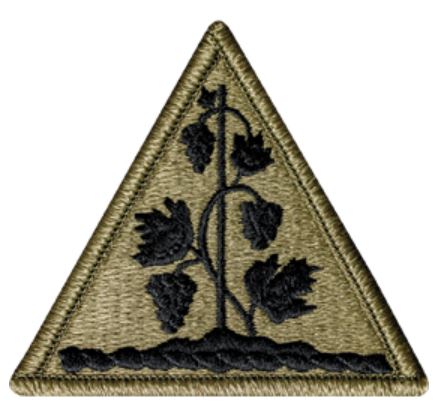 Connecticut Army National Guard OCP Patch with Hook Fastener