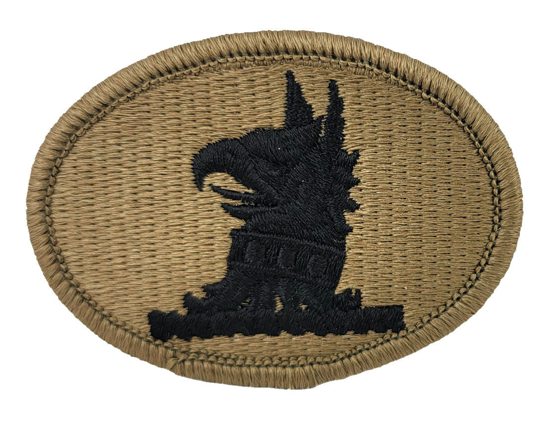 Delaware Army National Guard OCP Patch
