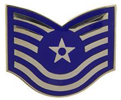 Air Force Hat Pins