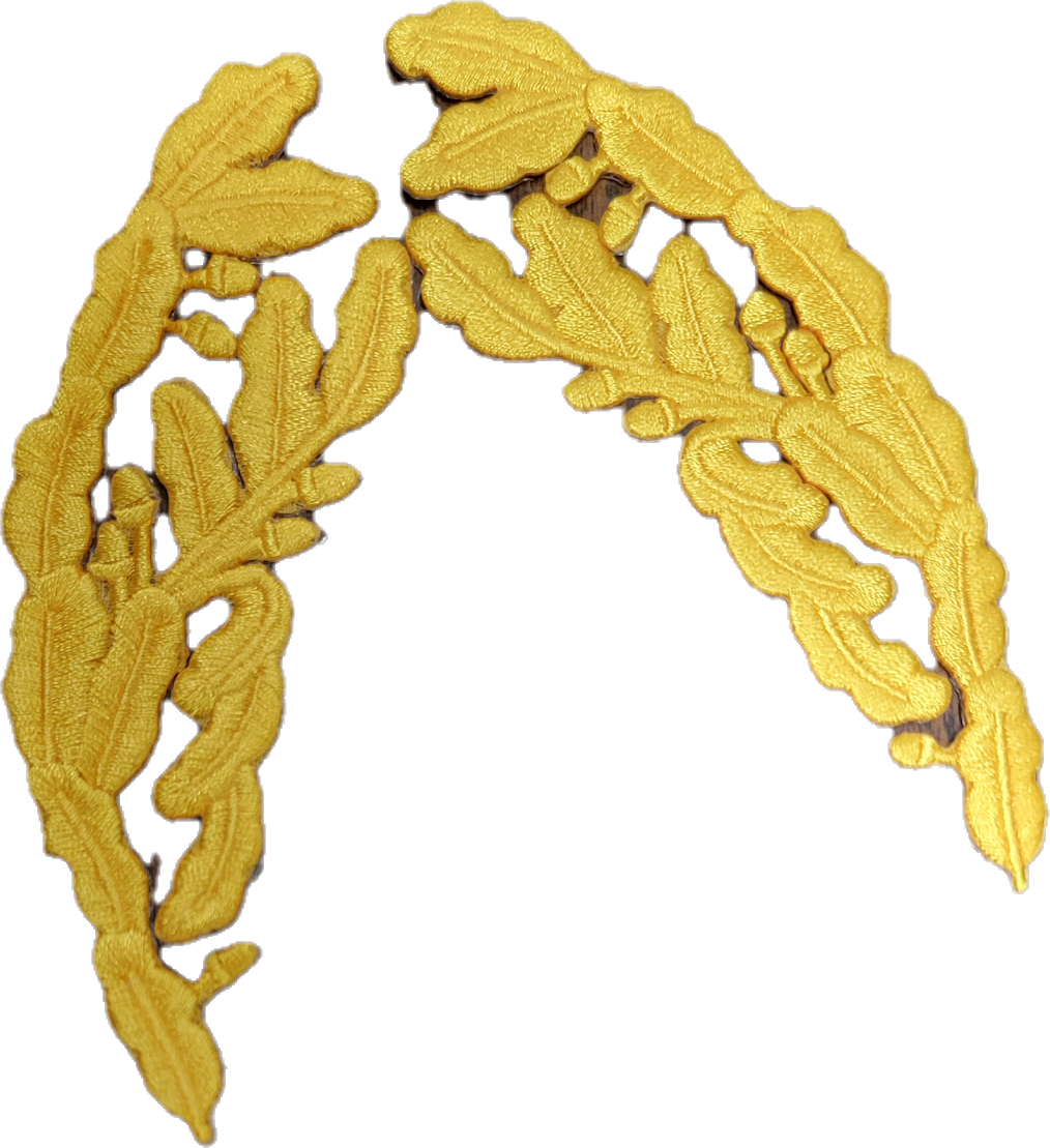 CLEARANCE - Scrambled Eggs Patches for Ballcaps Hats
