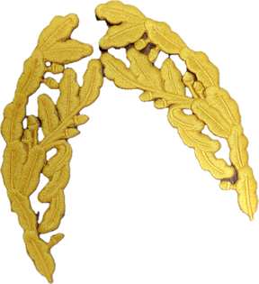 CLEARANCE - Scrambled Eggs Patches for Ballcaps Hats