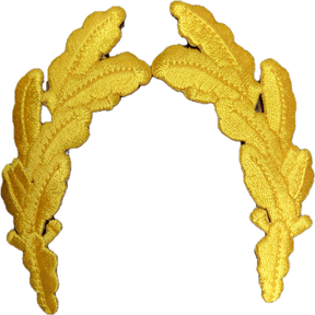 CLEARANCE - Scrambled Eggs Patches for Ballcaps Hats