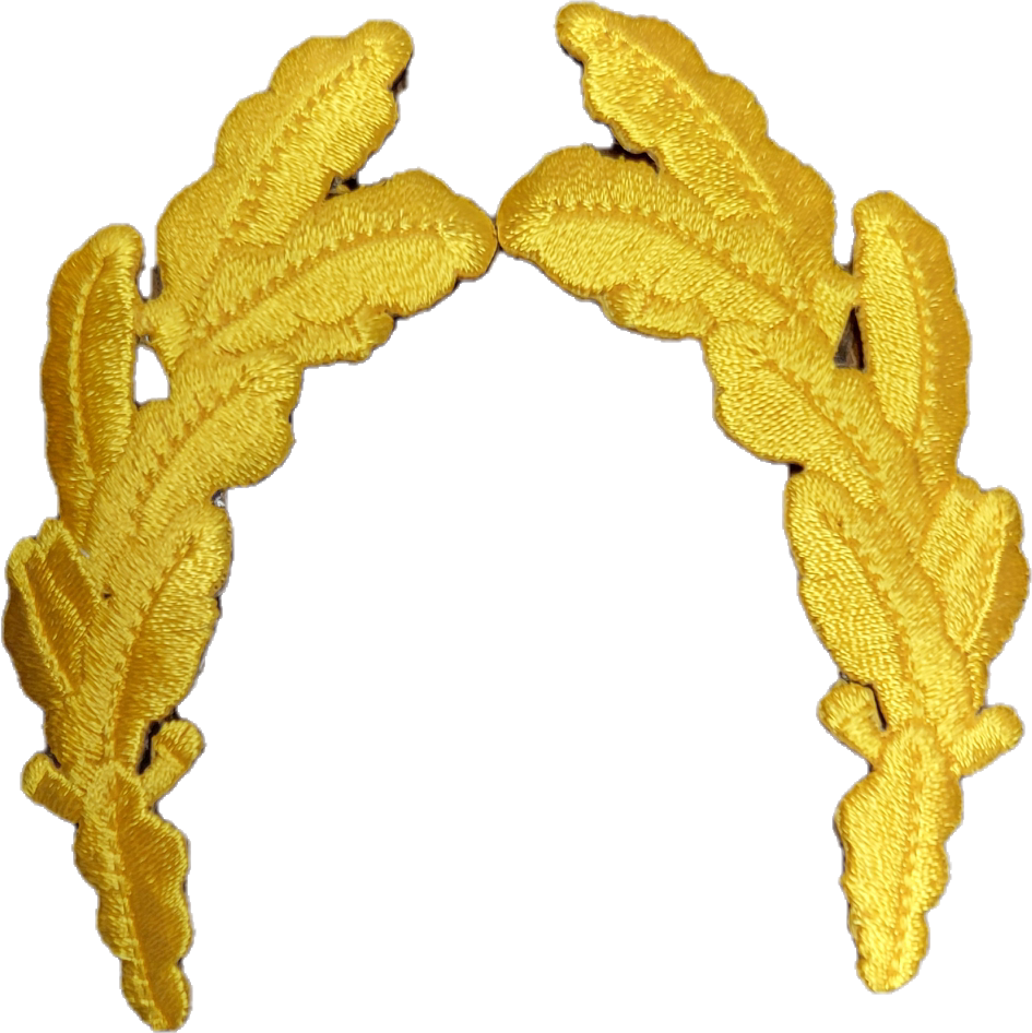 CLEARANCE - Scrambled Eggs Patches for Ballcaps Hats
