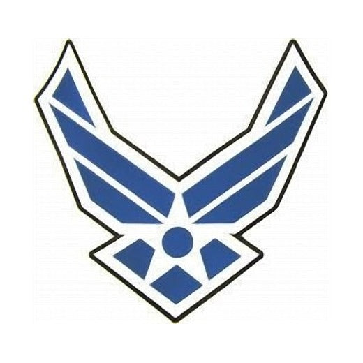 USAF Logo Patch - Large Back Patch