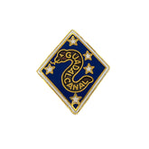 Old Style 1st Marine Division Pin
