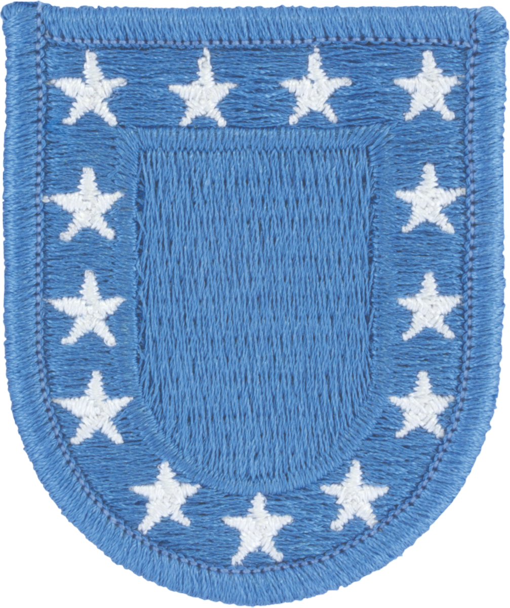 U.S. Army Standard Blue Beret Flash