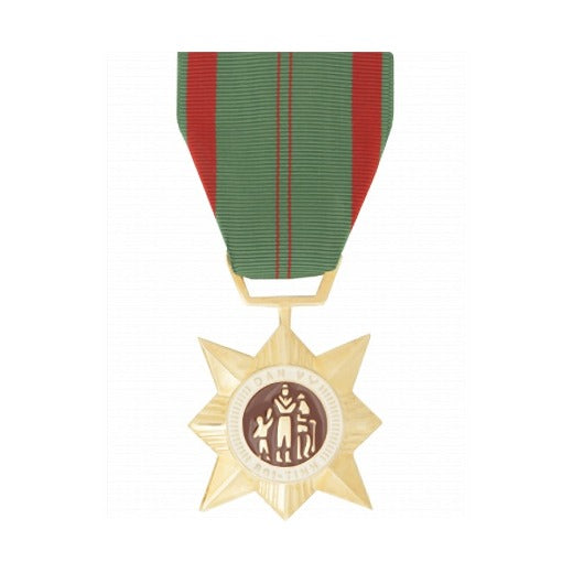 Vietnam Civil Action Second Class Medal