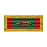 Vietnam Civil Action with Palm Army Unit Citation Ribbon