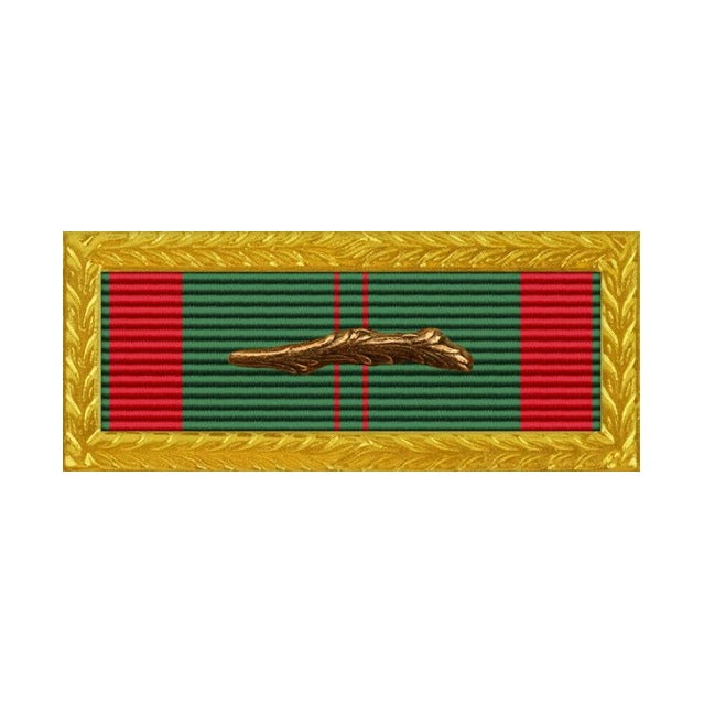Vietnam Civil Action with Palm Army Unit Citation Ribbon