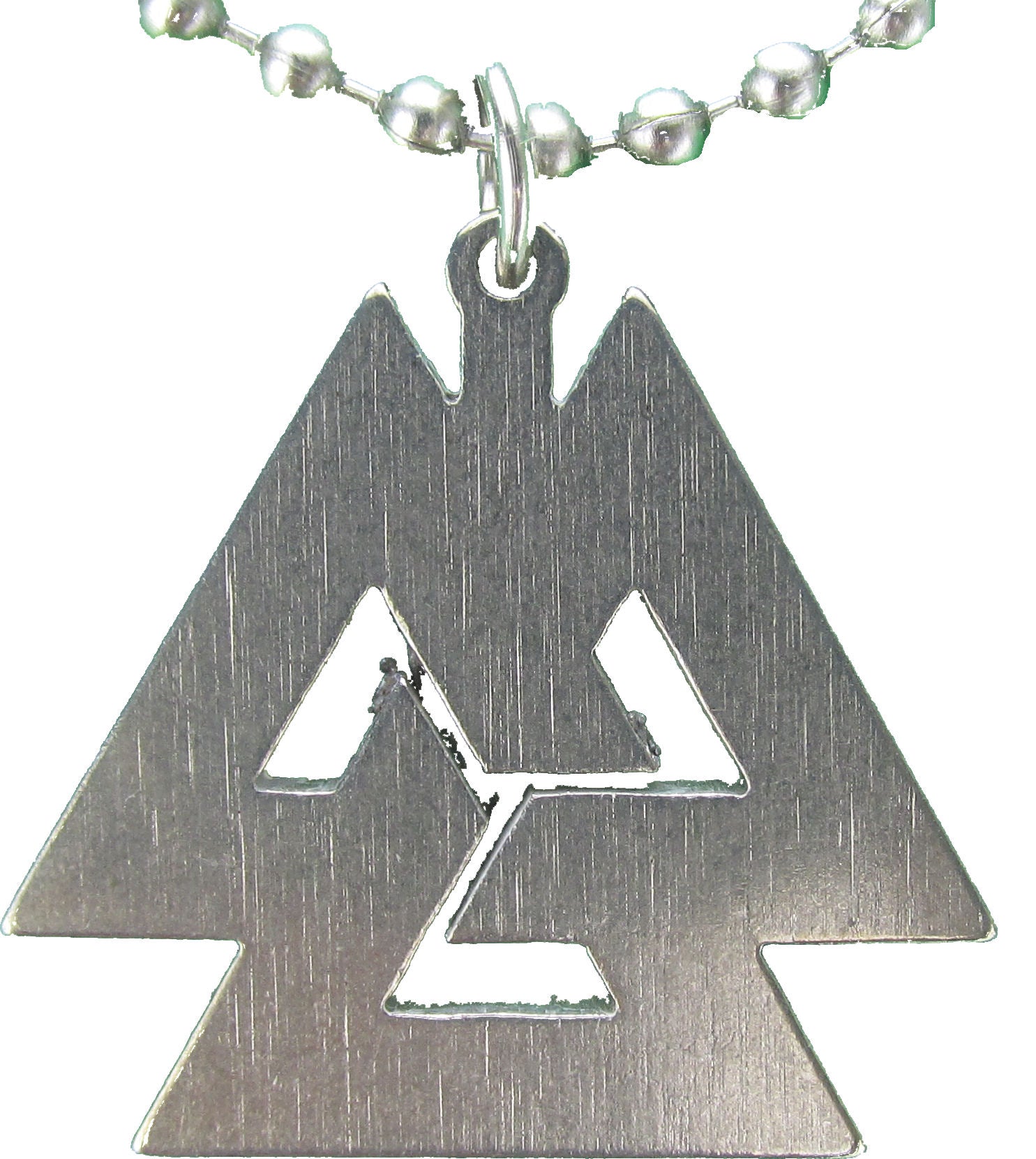 Genuine U.S. Military Issue Asatru Necklace with Dog Tag Chain