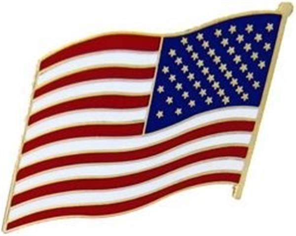 United States Flag Pin - Left