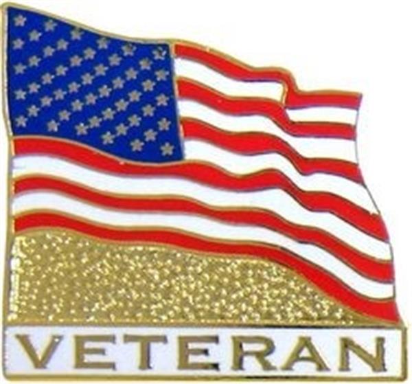 Veteran Flag Small Hat Pin