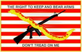 Don't Tread on Me Crossed Snake Rifle Flag Hat Pin