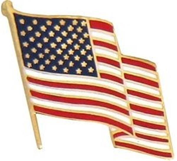 Waving U.S. Flag Pin