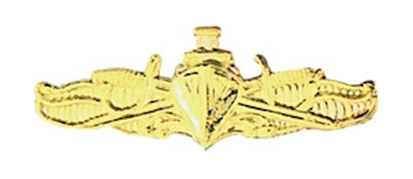 U.S. Navy Surface Warefare Officer Hat Pin