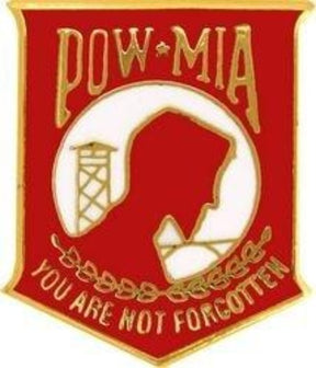 POW-MIA Insignia Pin - You Are Not Forgotten Lapel Pin