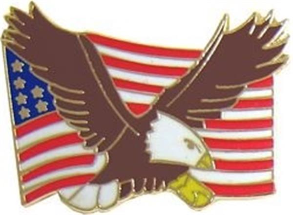 Bald Eagle U.S. Flag Pin