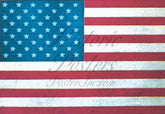 U.S. Flag Poster