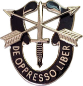 U.S. Army Special Forces Pin