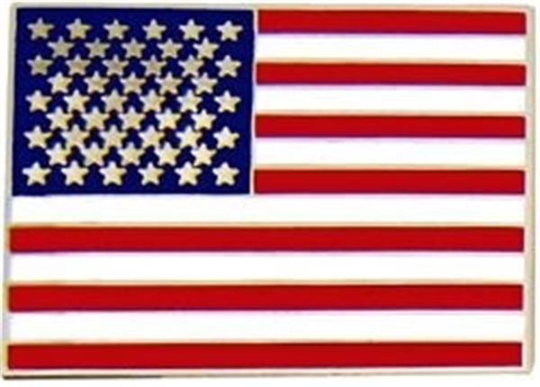 American Flag Large Pin